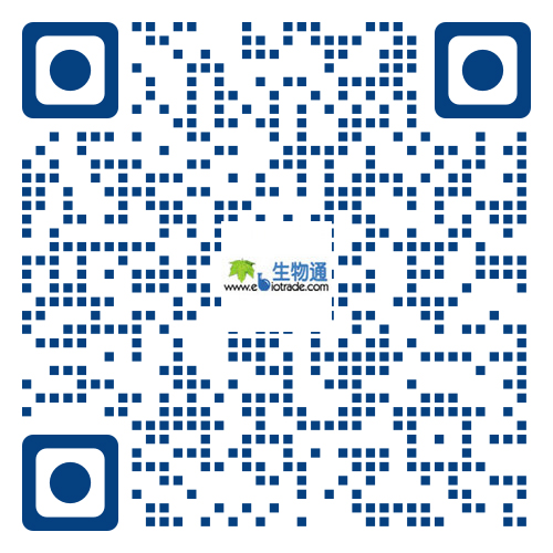 問鼎H5：輕量化設計，開啟娛樂新體驗 - 问鼎APP